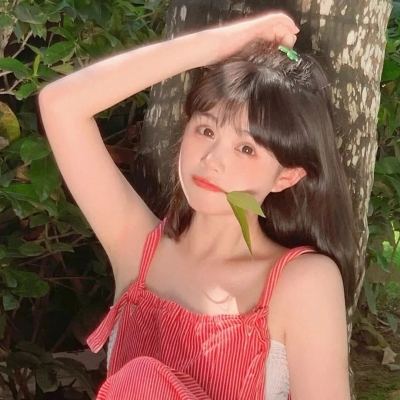 战盟小米版下载